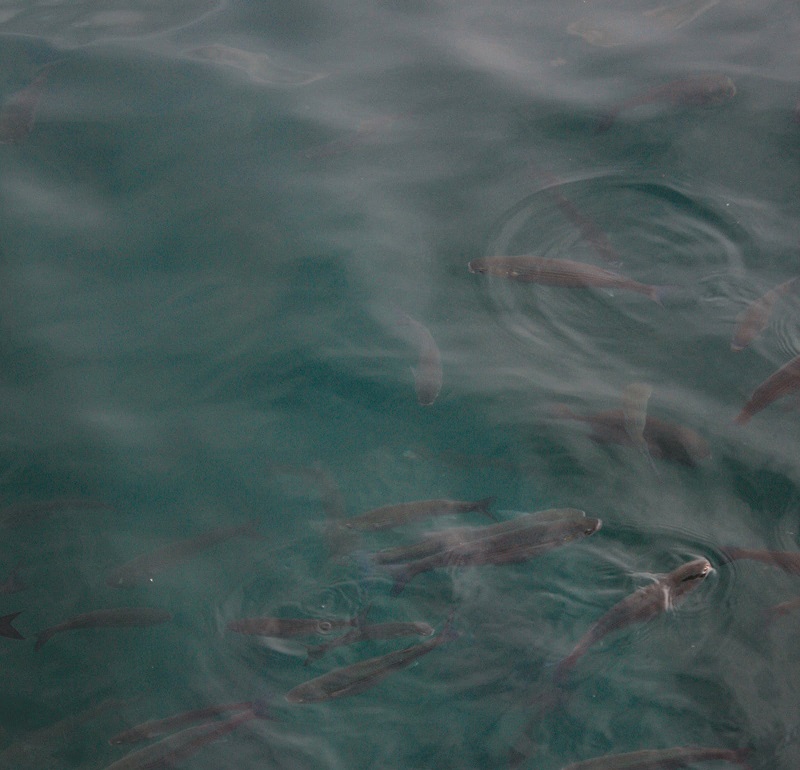 1676338887343212.jpg 64.jpg